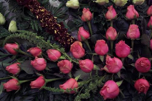Fête des roses au Portugal Url_artimage-161774-875686-31415