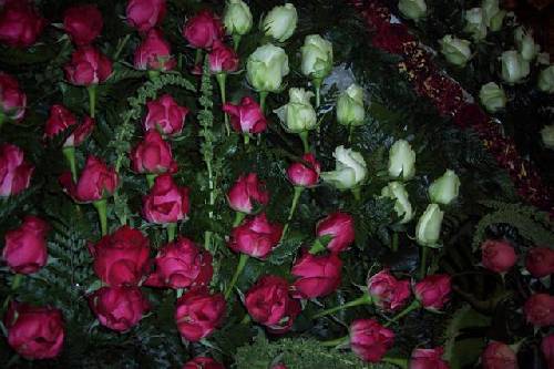 Fête des roses au Portugal Url_artimage-161774-875691-33709
